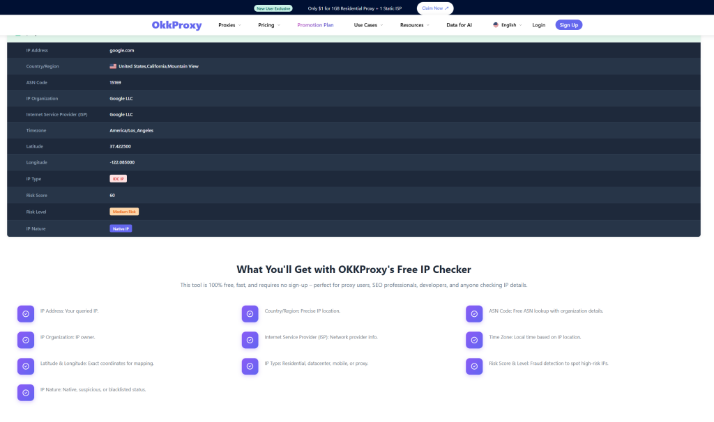 Quick and Free IP Address Lookup Tool by OKKProxy