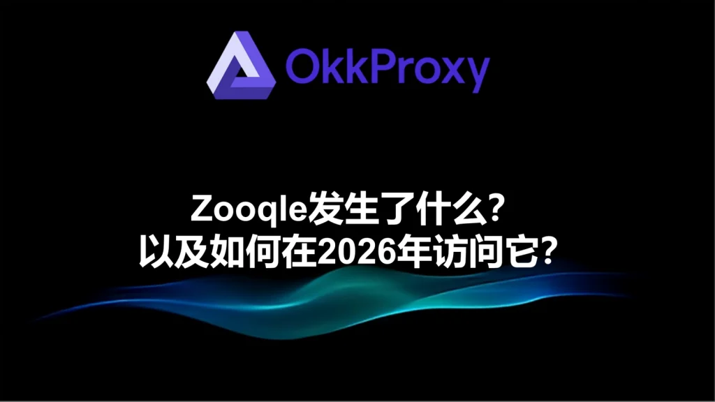 2026年如何安全访问Zooqle的操作方法示意图